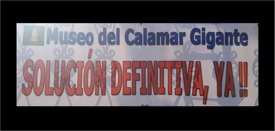 museo calamar pancarta